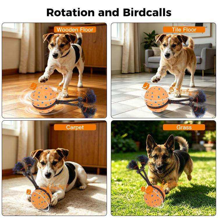 O29 Smart Automatic Pet Toy Ball Dog Training with Sound & Rope