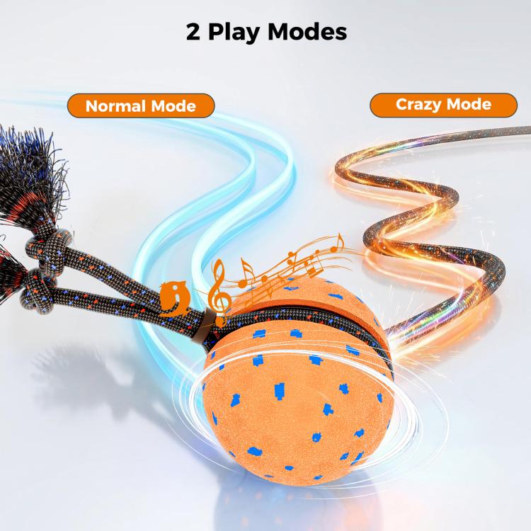 O29 Smart Automatic Pet Toy Ball Dog Training with Sound & Rope