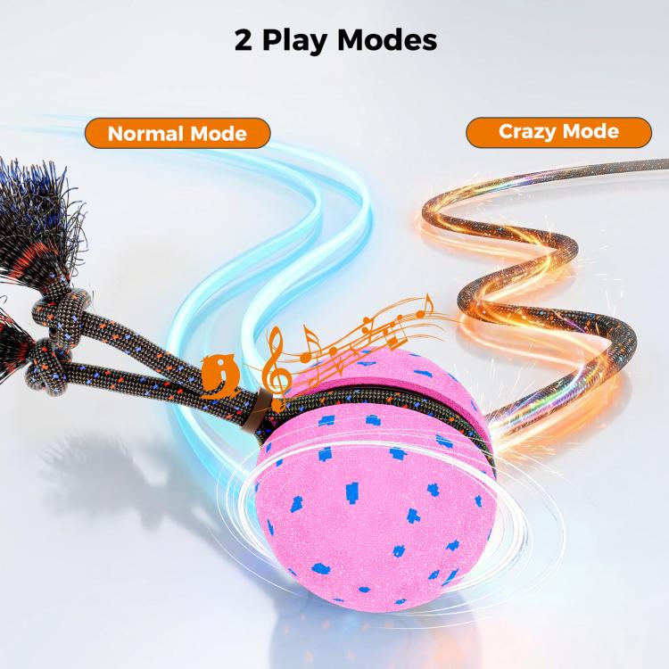 O29 Smart Automatic Pet Toy Ball Dog Training with Sound & Rope