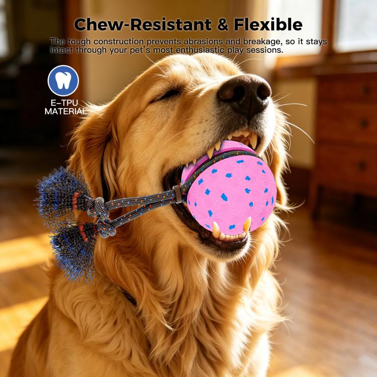 O29 Smart Automatic Pet Toy Ball Dog Training with Sound & Rope