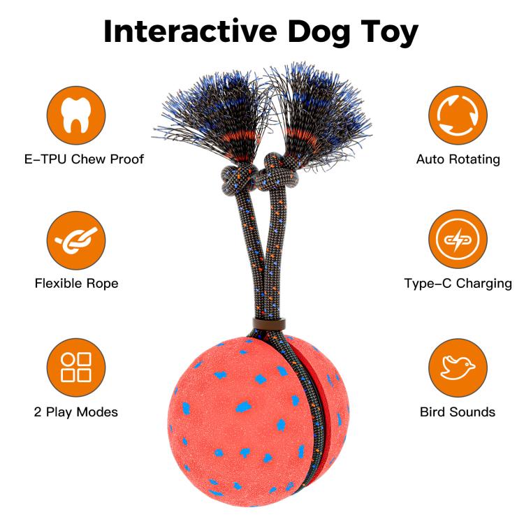 O29 Smart Automatic Pet Toy Ball Dog Training with Sound & Rope