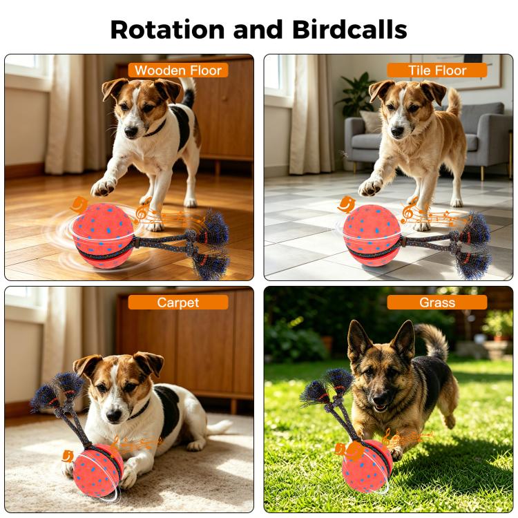 O29 Smart Automatic Pet Toy Ball Dog Training with Sound & Rope