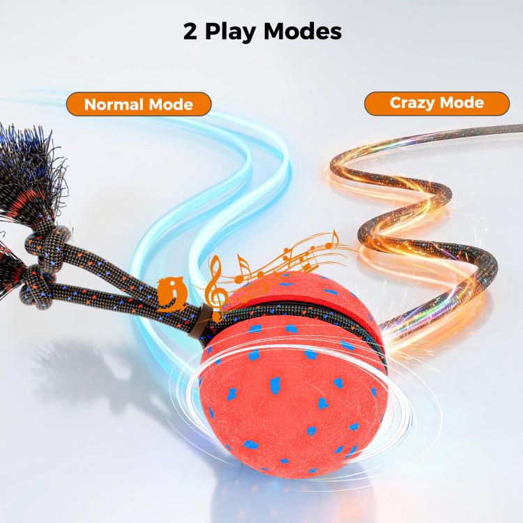 O29 Smart Automatic Pet Toy Ball Dog Training with Sound & Rope