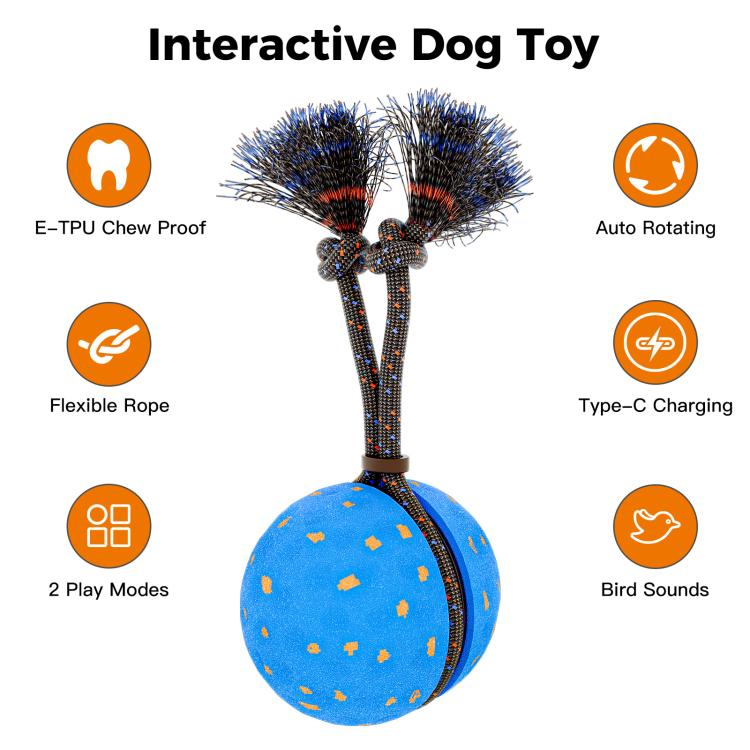 O29 Smart Automatic Pet Toy Ball Dog Training with Sound & Rope