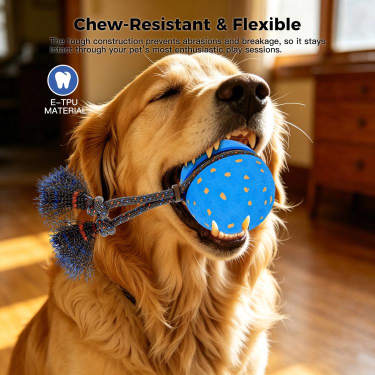 O29 Smart Automatic Pet Toy Ball Dog Training with Sound & Rope
