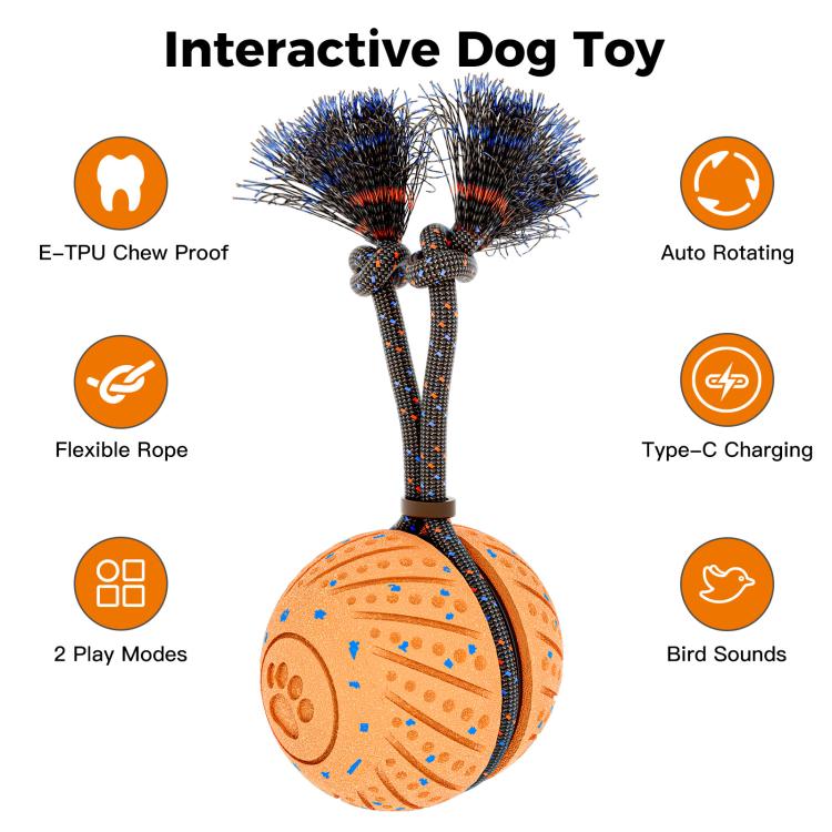 O30 Smart Automatic Pet Toy Ball Dog Training with Sound & Rope
