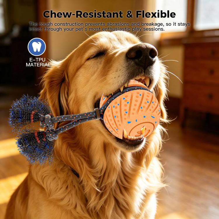 O30 Smart Automatic Pet Toy Ball Dog Training with Sound & Rope