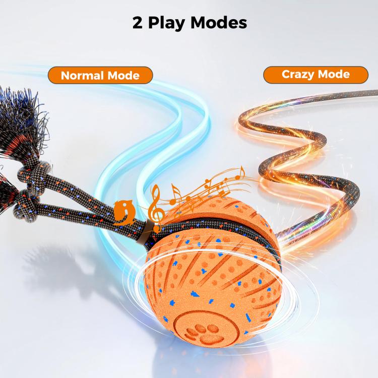 O30 Smart Automatic Pet Toy Ball Dog Training with Sound & Rope