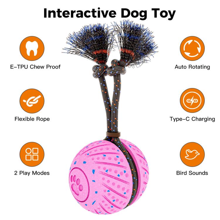 O30 Smart Automatic Pet Toy Ball Dog Training with Sound & Rope