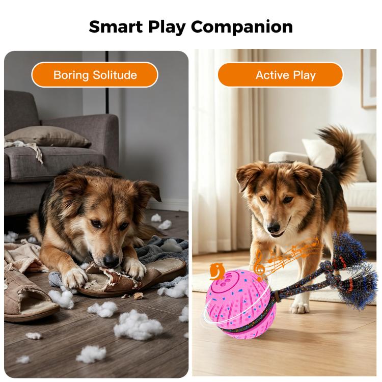 O30 Smart Automatic Pet Toy Ball Dog Training with Sound & Rope