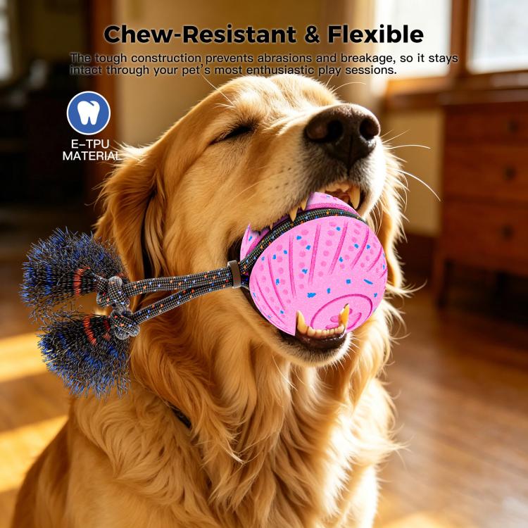 O30 Smart Automatic Pet Toy Ball Dog Training with Sound & Rope