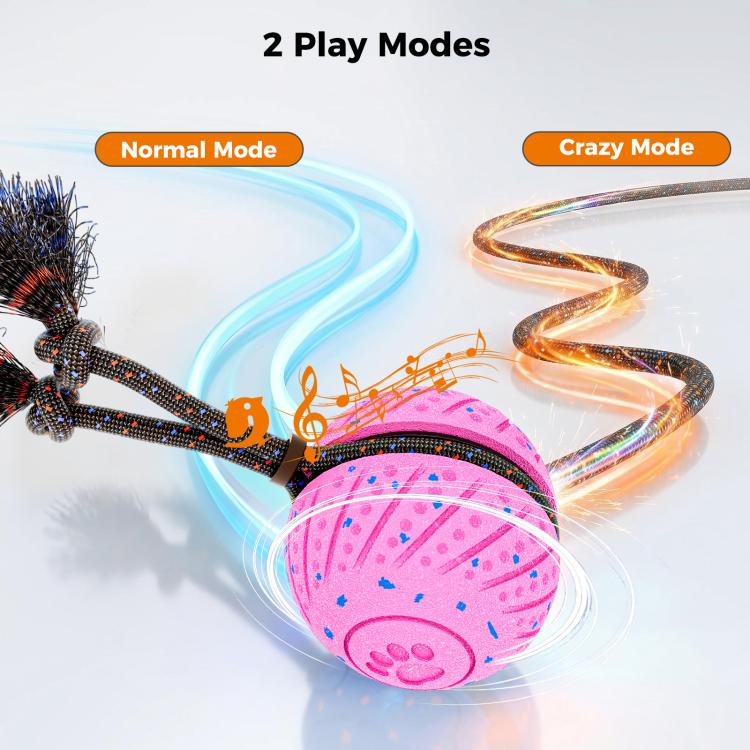 O30 Smart Automatic Pet Toy Ball Dog Training with Sound & Rope