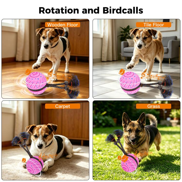 O30 Smart Automatic Pet Toy Ball Dog Training with Sound & Rope