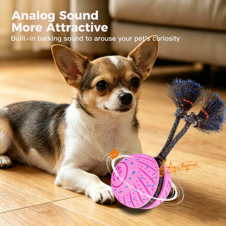 O30 Smart Automatic Pet Toy Ball Dog Training with Sound & Rope