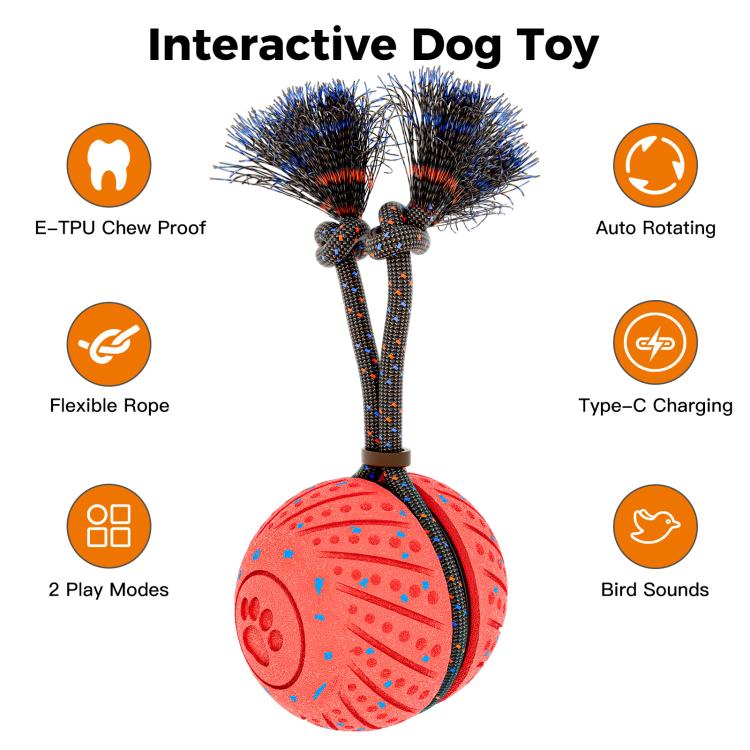O30 Smart Automatic Pet Toy Ball Dog Training with Sound & Rope