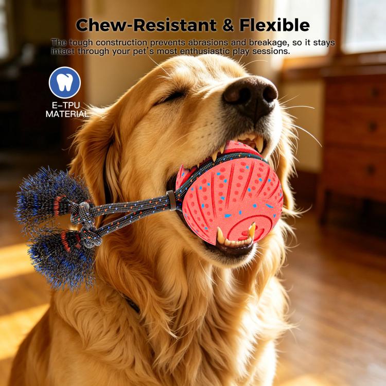 O30 Smart Automatic Pet Toy Ball Dog Training with Sound & Rope