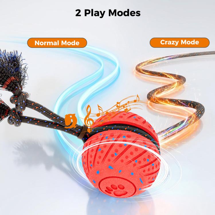 O30 Smart Automatic Pet Toy Ball Dog Training with Sound & Rope