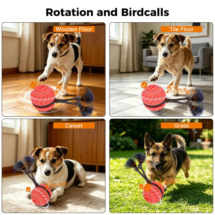 O30 Smart Automatic Pet Toy Ball Dog Training with Sound & Rope