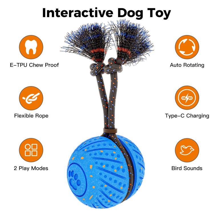 O30 Smart Automatic Pet Toy Ball Dog Training with Sound & Rope