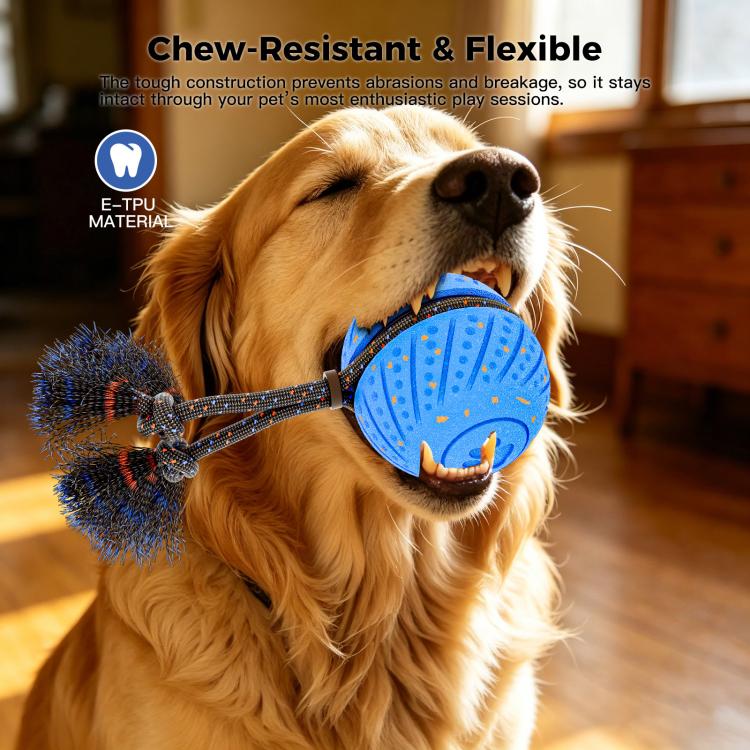 O30 Smart Automatic Pet Toy Ball Dog Training with Sound & Rope