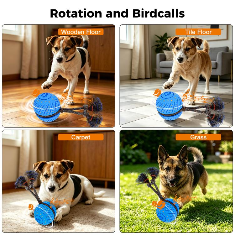 O30 Smart Automatic Pet Toy Ball Dog Training with Sound & Rope