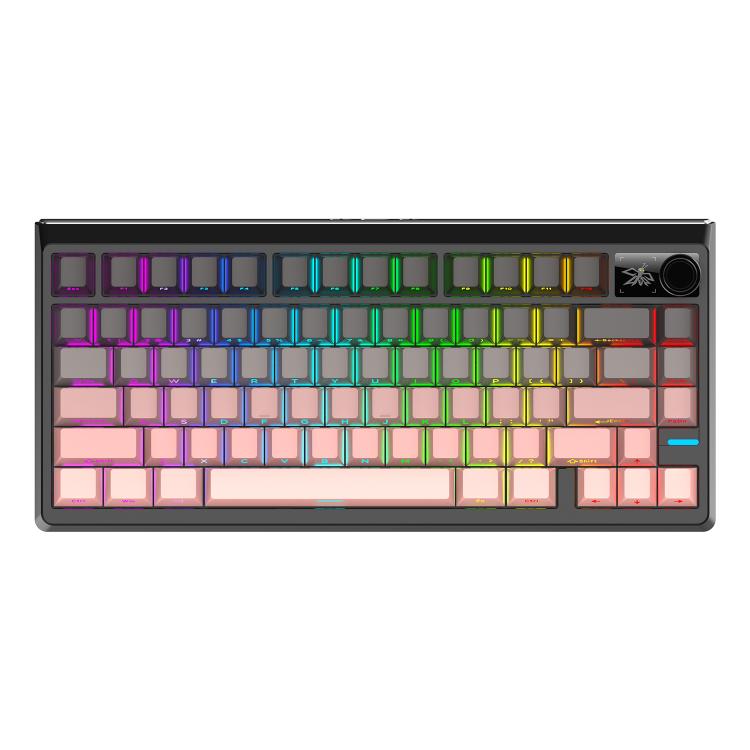 SHIPADOO JK750 Blue Switch RGB 79 Keys Three Modes Mechanical Keyboard