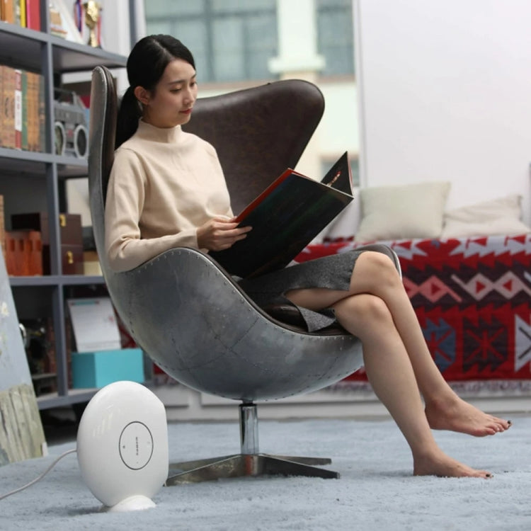 1000W Winter Mini Electric Fan Heater Desktop Household Radiator Energy Saving, US Plug(White)
