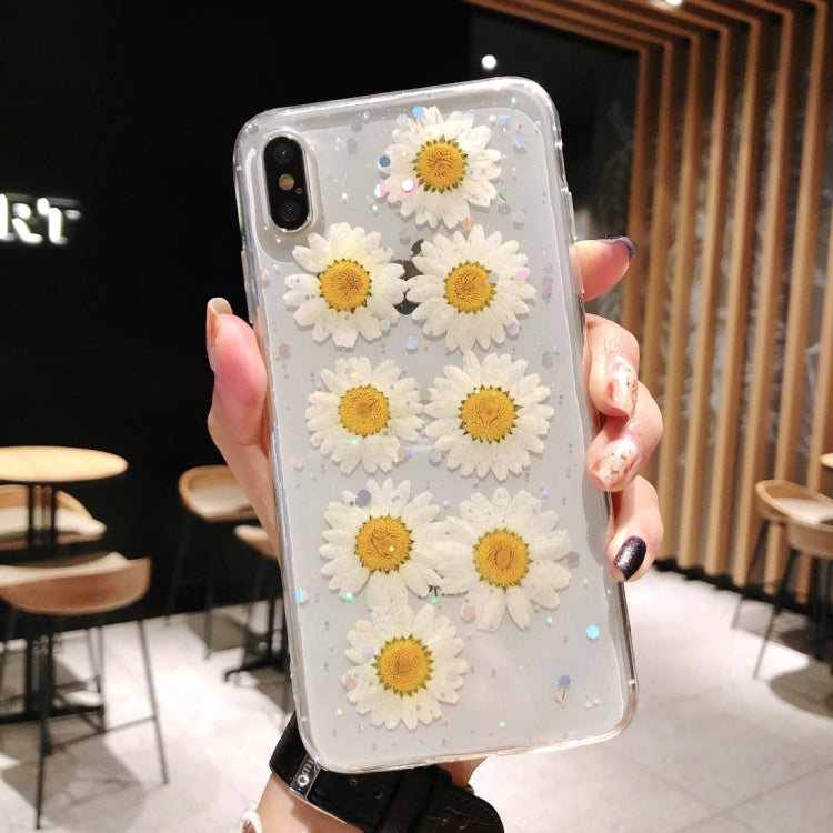 Daisy Pattern Real Dried Flowers Transparent Soft TPU Cover For iPhone 8 Plus & 7 Plus