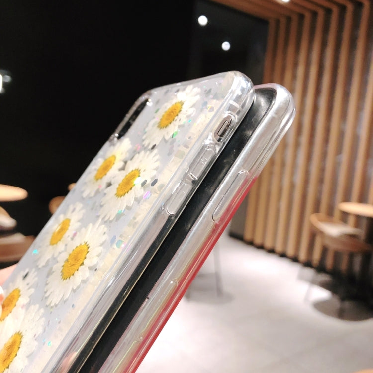 Daisy Pattern Real Dried Flowers Transparent Soft TPU Cover For iPhone 8 Plus & 7 Plus