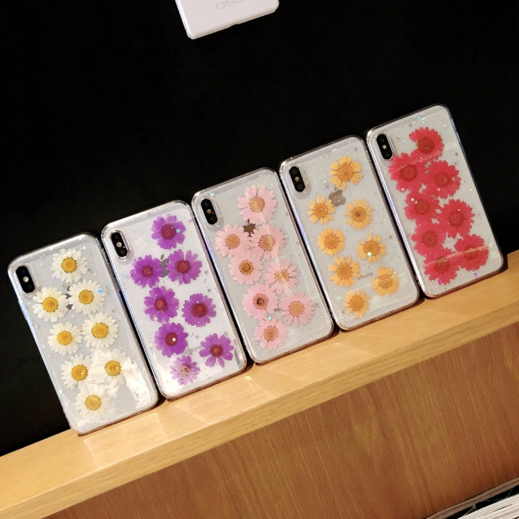 Daisy Pattern Real Dried Flowers Transparent Soft TPU Cover For iPhone SE 2020 & 8 & 7