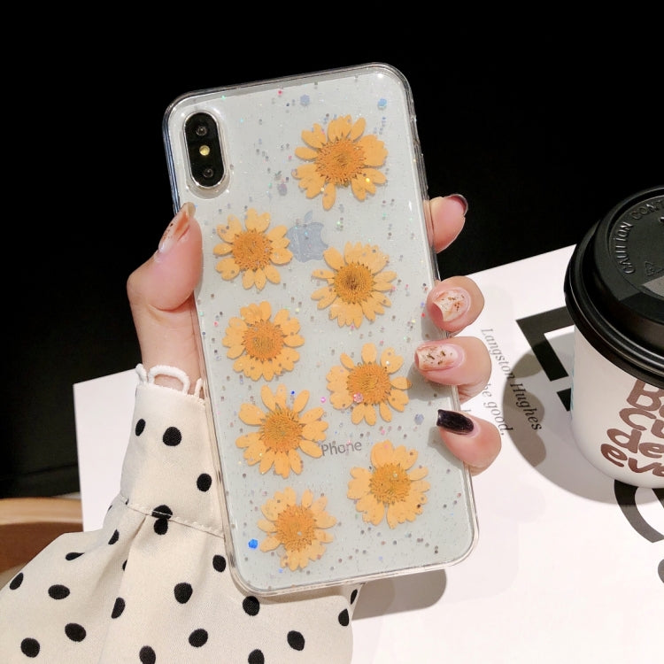 Daisy Pattern Real Dried Flowers Transparent Soft TPU Cover For iPhone 6 Plus & 6s Plus