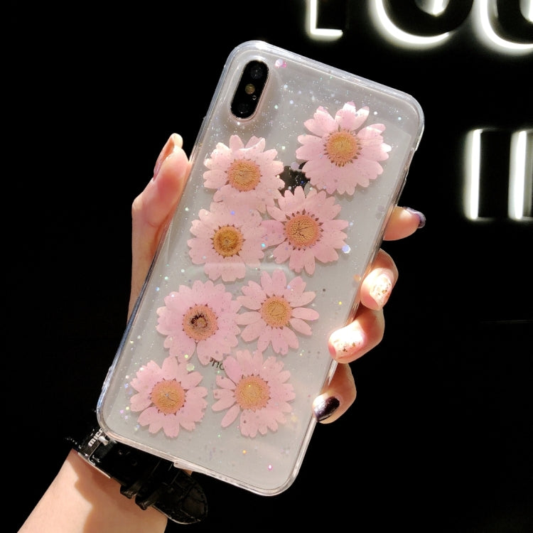 Daisy Pattern Real Dried Flowers Transparent Soft TPU Cover For iPhone 6 Plus & 6s Plus
