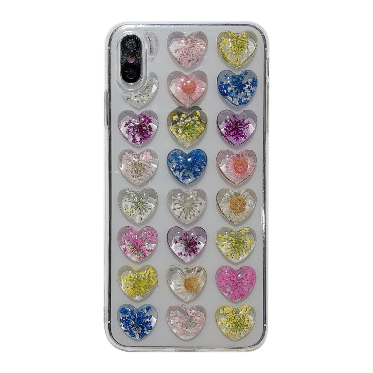 Heart-shaped Real Dried Flowers Transparent Soft TPU Cover For iPhone 6 & 6s