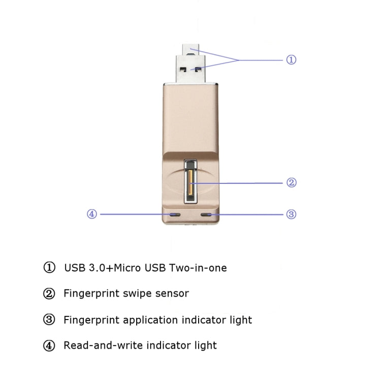 USB 3.0 & Micro USB 16GB Mini USB Flash Drive with Fingerprint Identification Encryption Function for PC and Laptop(Gold)
