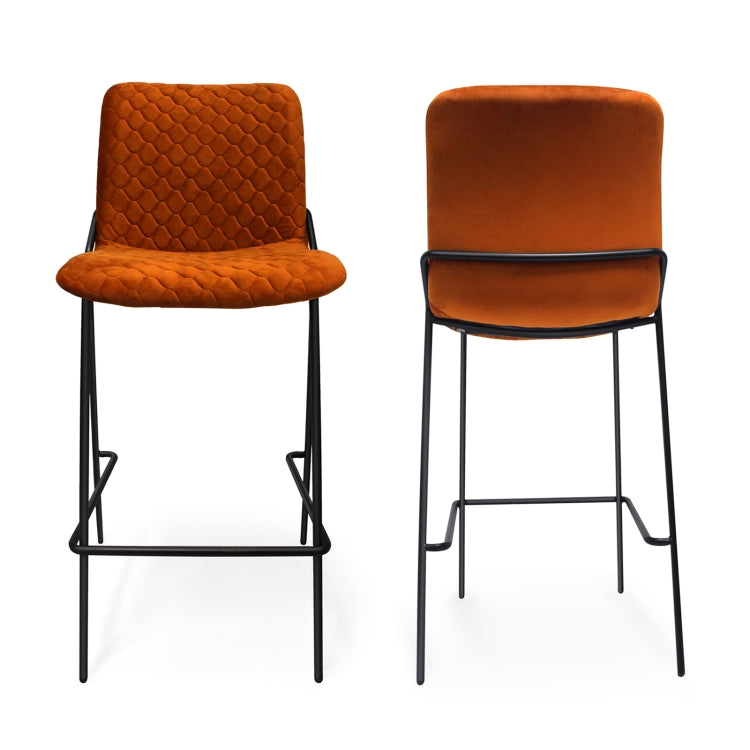 [US Warehouse] 2 PCS Household Retro Velvet Fabric Imitation Leaf Meridian Texture Dining Chair, Size: 110 x 58 x 55cm