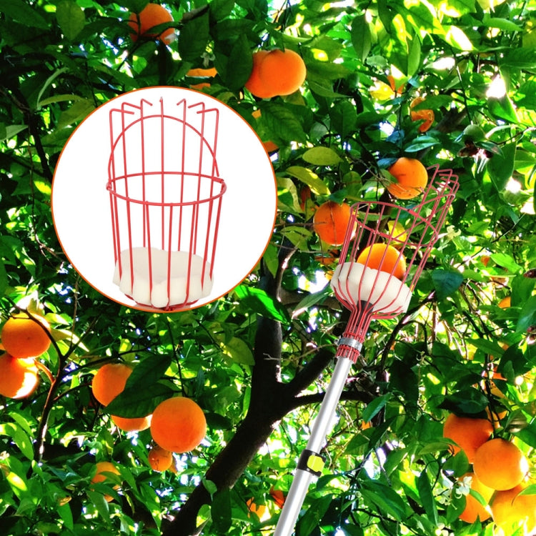 [US Warehouse] Orchard Gardening Fruit Picker Picking Tools