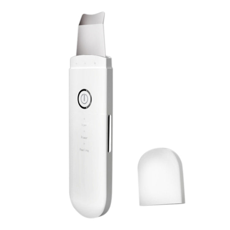 YJK063 Ultrasonic Ion Cleanser Micro-current Massage Beauty Introduction Instrument (Silver)