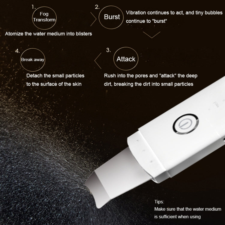YJK063 Ultrasonic Ion Cleanser Micro-current Massage Beauty Introduction Instrument (Silver)