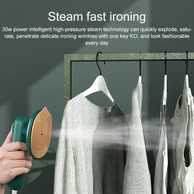 Social Duck Small Atomizing Wet and Dry Hand-held Portable Steamer