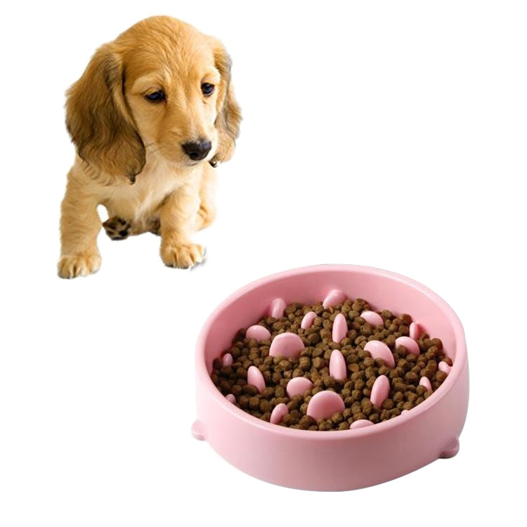 Pet Bowl Preventing Choking PP Bowl