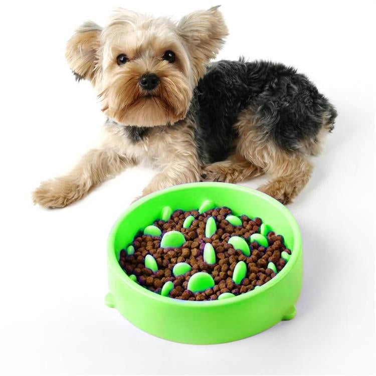 Pet Bowl Preventing Choking PP Bowl