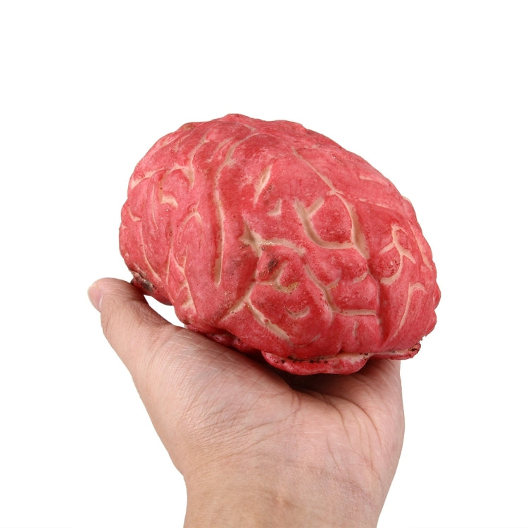 Popular Funny Halloween Props Fake Brain