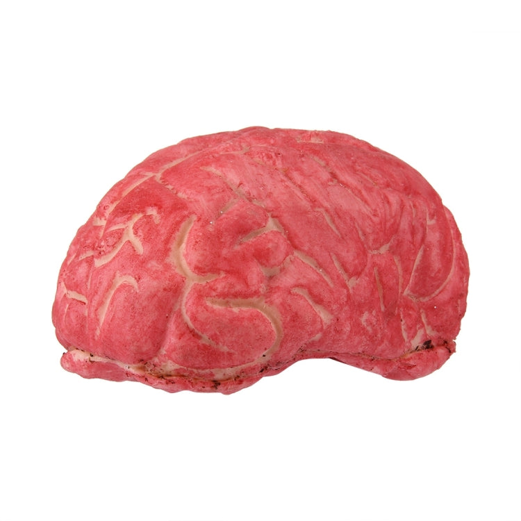 Popular Funny Halloween Props Fake Brain