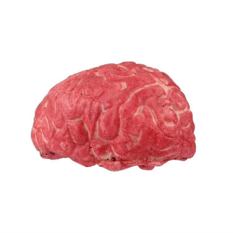 Popular Funny Halloween Props Fake Brain