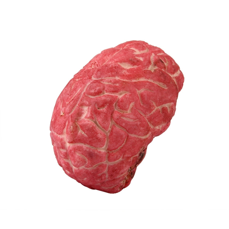 Popular Funny Halloween Props Fake Brain