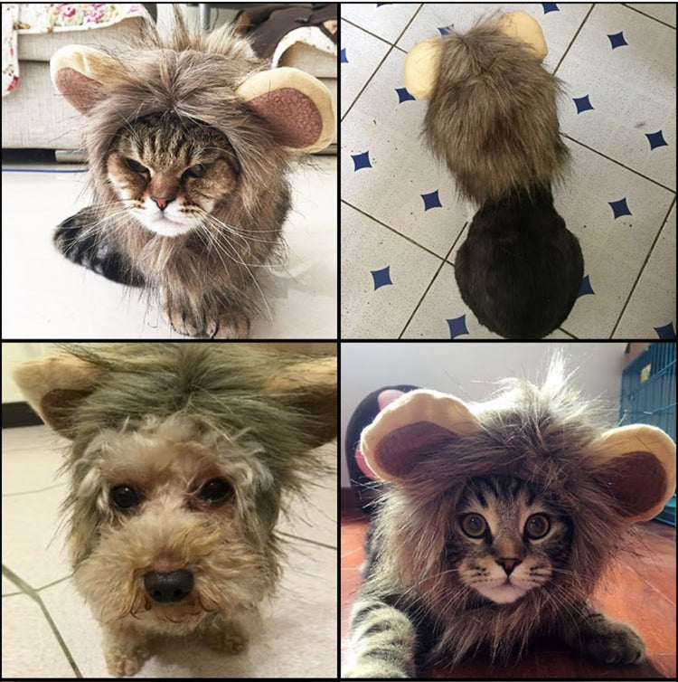 Lion Style Cute Pet Clothes for Regular Size Cats or Small Dogs with About 26cm Head Girth