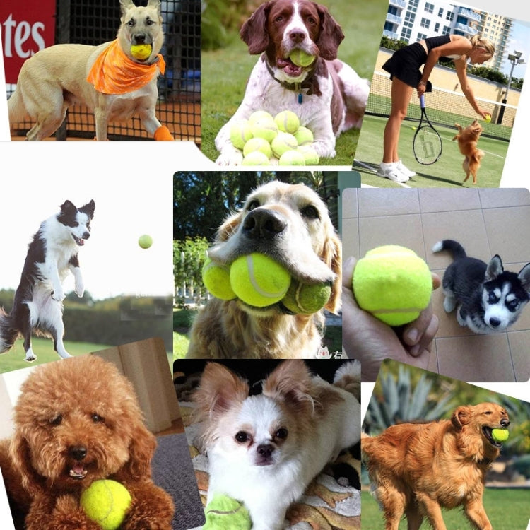 Rubber Pet Toy Ball Elastic Type Pet Tennis Ball, Diameter: 6cm