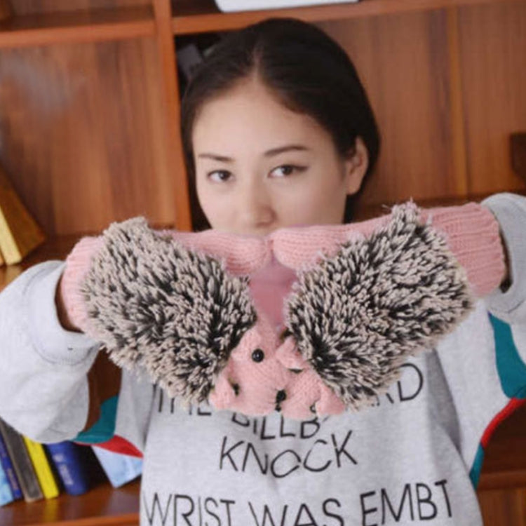Winter Lovely Cartoon Mouse Knitting Lady Mittens Warm Cartoon Hedgepig Full Finger Gloves