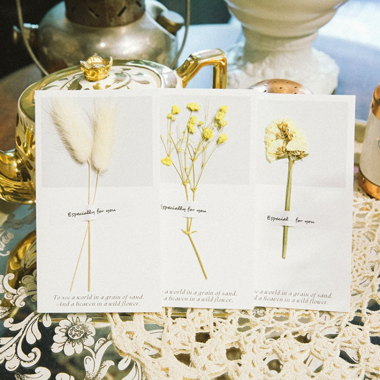 10 PCS Festival Creative Fresh Dried Flowers Handwritten Greeting Card Birthday Card