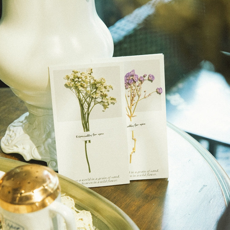 10 PCS Festival Creative Fresh Dried Flowers Handwritten Greeting Card Birthday Card